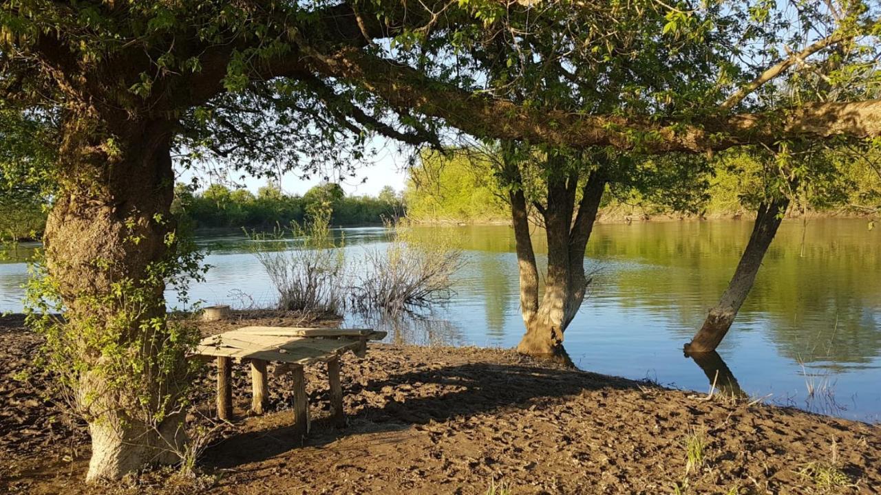 Guest House Studio Apartman Marina - With Jacuzzi, Free Parking, Pet Friendly Karlovac Buitenkant foto