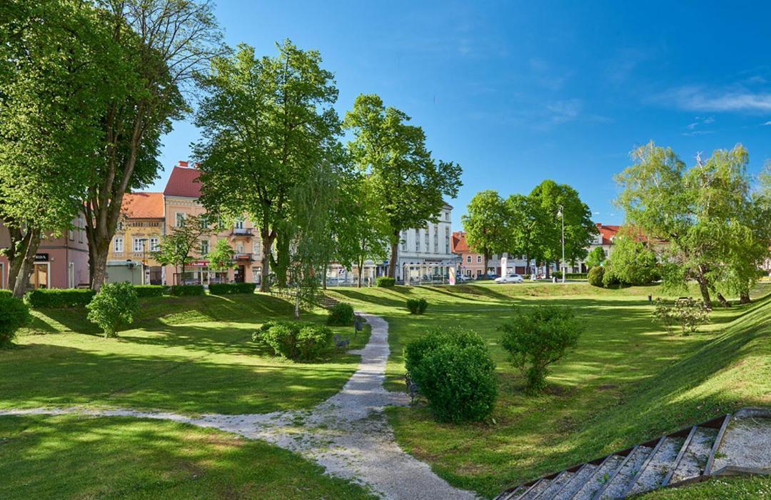 Guest House Studio Apartman Marina - With Jacuzzi, Free Parking, Pet Friendly Karlovac Buitenkant foto